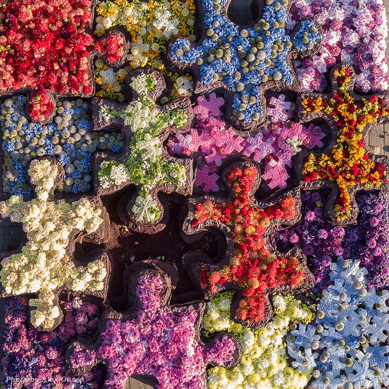 Цветочные ковры Вентспилса 2017.