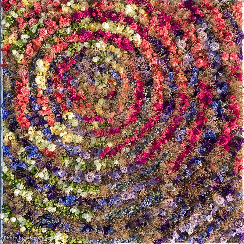 Цветочные ковры в Вентспилсе 2017. Часть 2.